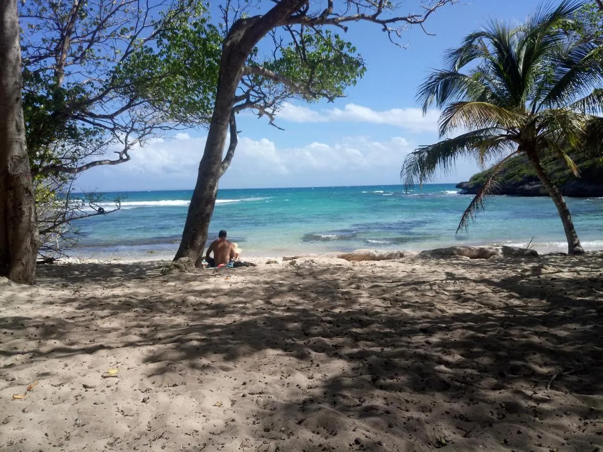 F1 Vue Mer, Acces Plage, En Centre-Ville Le Gosier  Le Gosier (Grande-Terre)