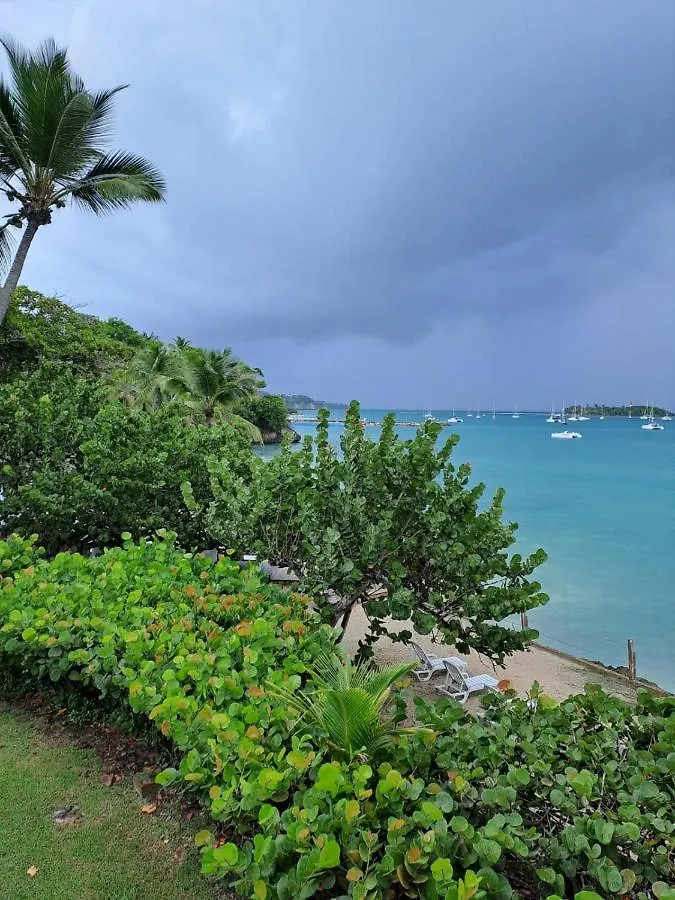F1 Vue Mer, Acces Plage, En Centre-Ville Le Gosier  0*, Le Gosier (Grande-Terre)
