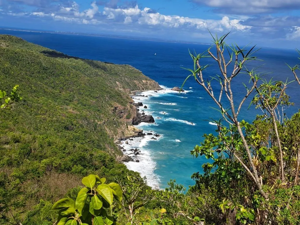 F1 Vue Mer, Acces Plage, En Centre-Ville Le Gosier