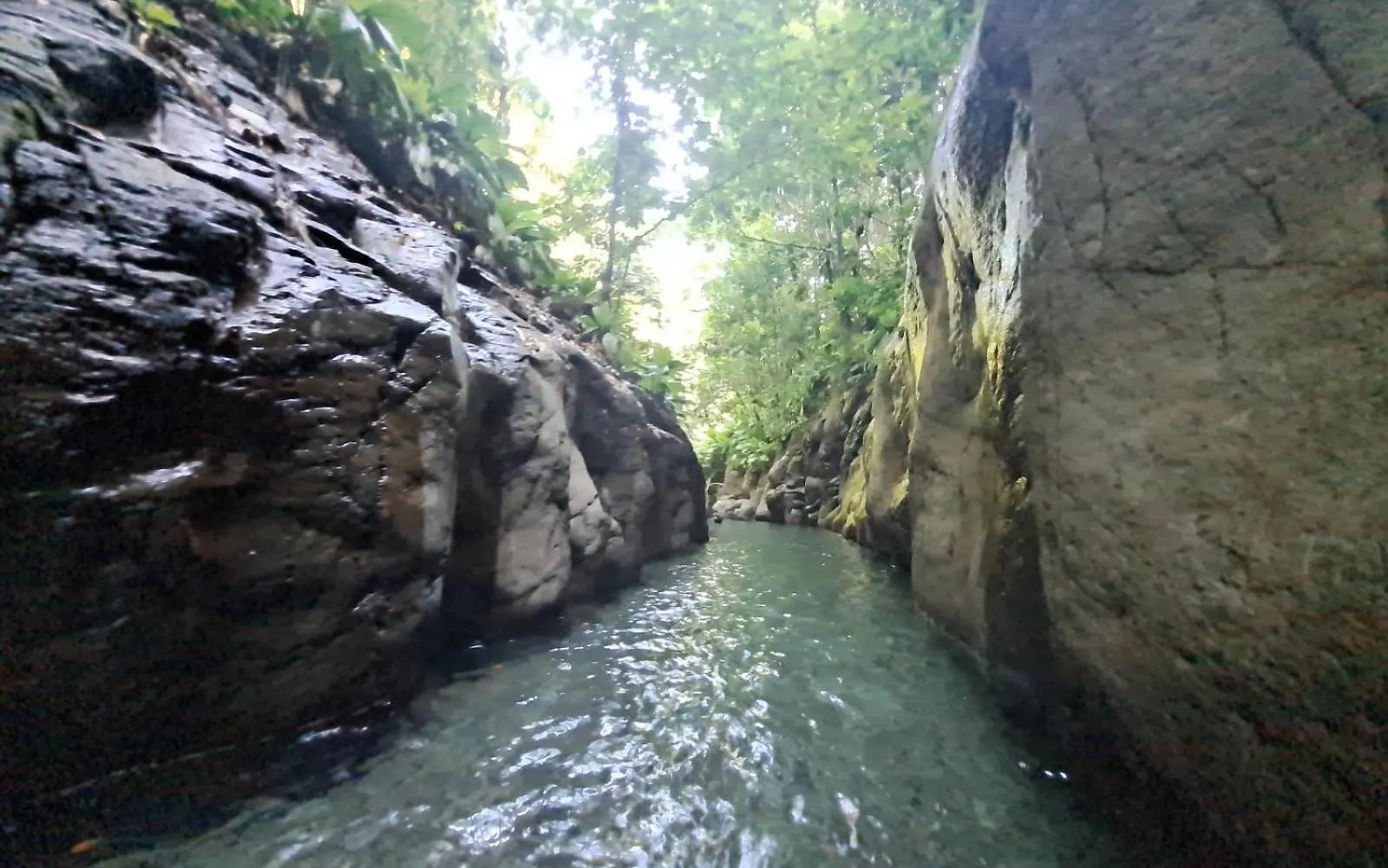 F1 Vue Mer, Acces Plage, En Centre-Ville Le Gosier  Guadeloupe