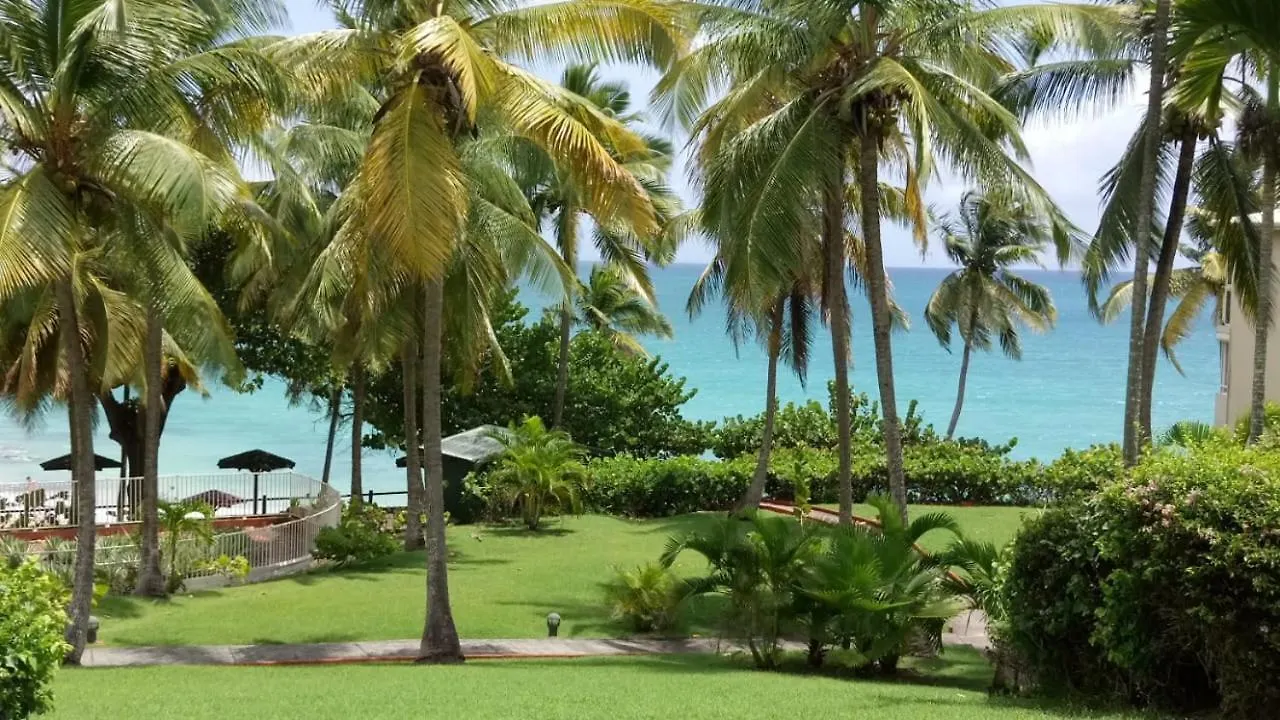 F1 Vue Mer, Acces Plage, En Centre-Ville Le Gosier  Apartment