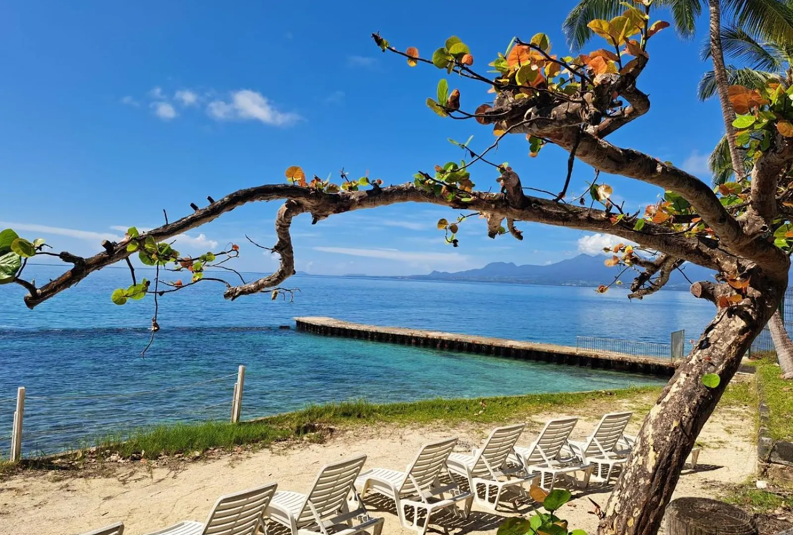 F1 Vue Mer, Acces Plage, En Centre-Ville Le Gosier  Διαμέρισμα